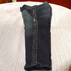 Lane Bryant Rhinestone Jeans
